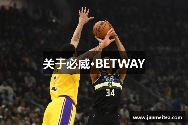 关于必威·BETWAY